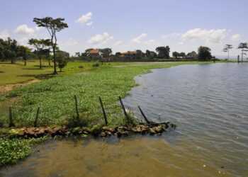 Sironko District in Eastern Uganda to host International World Environment Day