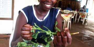 Malakwang, Boo; the most valued traditional sauces in Northern Uganda