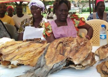 $100m fishing fund to benefit women, youth in Seven African countries
