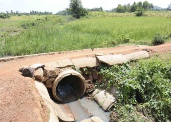 Uganda’s wetland restoration slightly increases to 9.3%