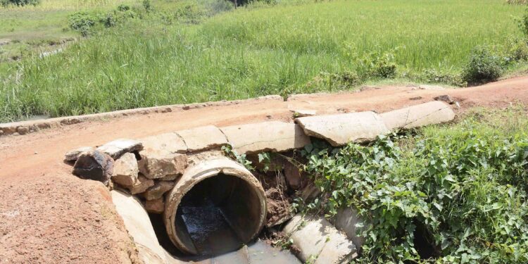 Uganda’s wetland restoration slightly increases to 9.3%