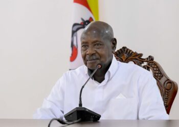 President Museveni, Dr. Luisa Moreno discuss Uganda’s mineral sector