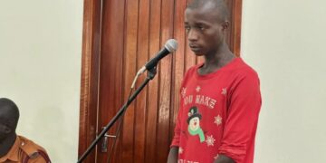 Ugandan Tiktoker receives a six-year sentence for insulting President